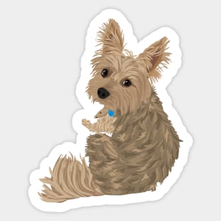 yorkshire terrier Sticker